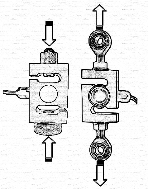 tenzo-1