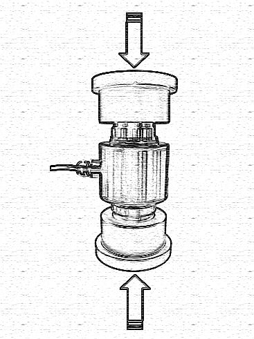 tenzo-5