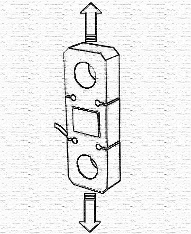 tenzo-7